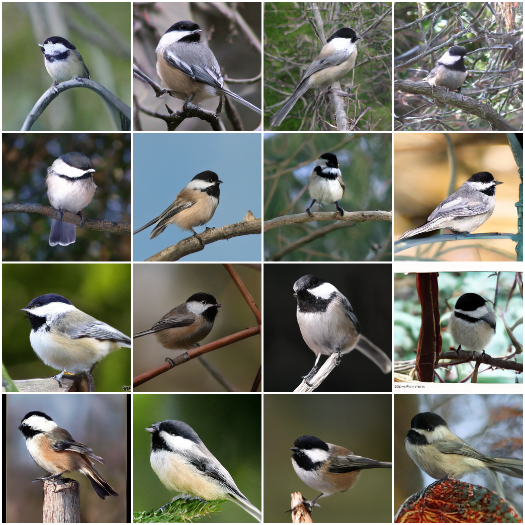 ImageNet sample: chickadee